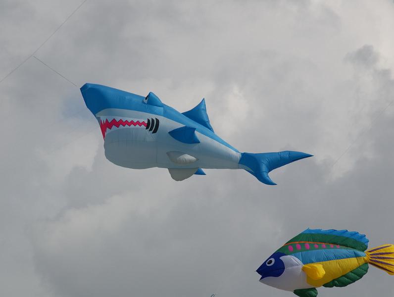 Fanø 2009 20.jpg